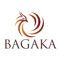 Bagaka Group logo - Similar company to Mca Accounting