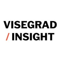 Visegrad Insight logo - Similar company to Decc Project