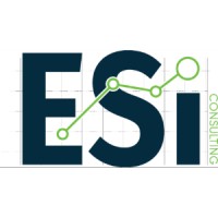 ESi Consulting Group logo - Similar company to Hazledene Solutions