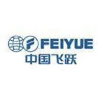 FEIYUE GROUP