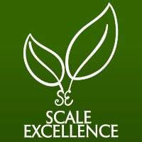 Scale Excellence logo - Similar company to Blue Pinecone Consulting Llc