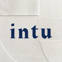 Intu interior design logo - Similar company to Degmeda Mb