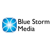 Blue Storm Media Ltd logo - Similar company to Blue Storm Media Inc.