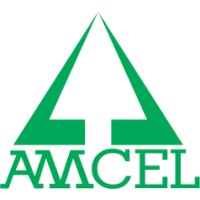 Amcel - Amapá Florestal e Celulose logo - Similar company to Viação Vale Do Amazonas Ltda