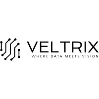 Veltrix logo - Similar company to Veltrix Consulting
