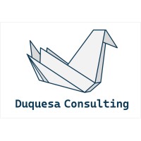 Duquesa Consulting logo - Similar company to C&S Customers And Strategy