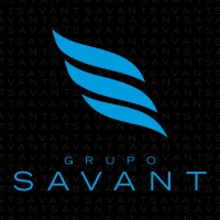 Grupo Savant Telecom logo - Similar company to Interline Telecom