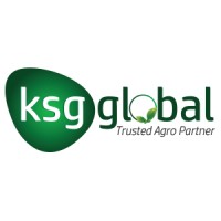 KSGGlobal logo - Similar company to Snowsig Technologies