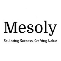 Mesoly LLC logo - Similar company to Llc 4 Me, Llc