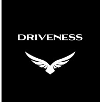 Driveness Experience logo - Similar company to The Cool Guide