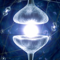 Psynapse Health Solutions logo - Similar company to Iamclinic