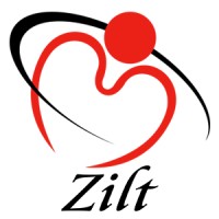 Zilt logo - Similar company to Veldsink-De Witte