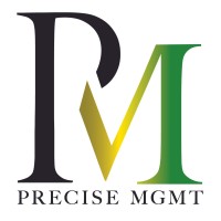Precise MGMT logo - Similar company to Ation Advisory Group