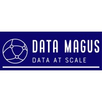 Data Magus logo - Similar company to Pacqq