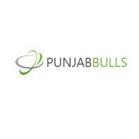 Punjabbulls Technology Pvt Ltd logo - Similar company to Pristine Business Solutions