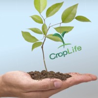 CropLife Philippines logo - Similar company to Isaaa Inc.
