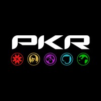 PKR Technologies Ltd logo - Similar company to Pkr.Com