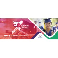 ElsiMate Institute logo - Similar company to Abaricom Bw