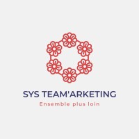 Systeamarketing logo - Similar company to Place2Geek