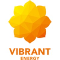 Vibrant Energy Holdings Private Limited logo - Similar company to Pgc