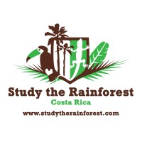 Study the Rainforest logo - Similar company to Boveegreenagro