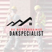 De Rotterdamse Dakspecialist logo - Similar company to Roy Projects Bv
