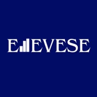 ELEVESE CONSULTORIA logo - Similar company to Instituto Levese