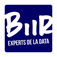 BiiR logo - Similar company to Der Srl