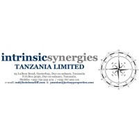 Intrinsic Synergies Limited logo - Similar company to Kessel Turkey