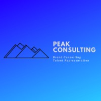 Peak Consulting logo - Similar company to Peak Athletes