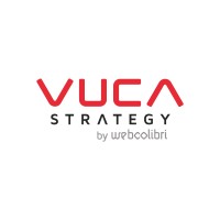 VUCA Strategy logo - Similar company to Scholaris Network