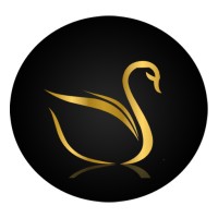 SOLVEDISA PROGRAMMING SOLUTIONS logo - Similar company to Taysonsta