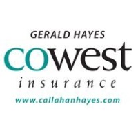 Gerald Hayes - CoWest Insurance logo - Similar company to Cowest Insurance Group Dtc