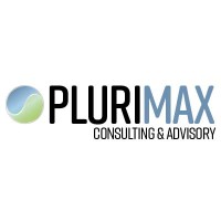 Plurimax Consulting & Advisory logo - Similar company to Verisys Tecnologia E Soluções S.A.