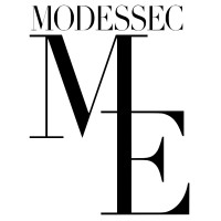 MODESSEC logo - Similar company to Modessec