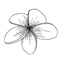 MOANA logo - Similar company to Fahamu