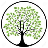 LinkedIn Local New Forest logo - Similar company to New Forest Marque ®
