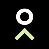 Bamboo Search logo - Similar company to Bamboo X