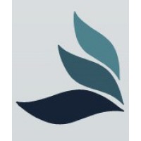 Global Financial Solutions SPC logo - Similar company to Simah_Om