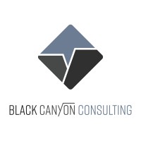 Black Canyon Consulting LLC logo - Similar company to Centennial Technologies