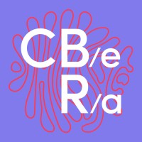 CBeRa Project logo - Similar company to Iqube It Consulting
