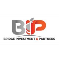 Bridge Inverstment Partners (BIP) logo - Similar company to Tb Construction