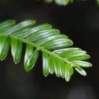 Geoambiente SAS logo - Similar company to Aitec