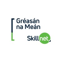 Gréasán na Meán Skillnet logo - Similar company to Danú Media