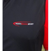 Teachschoolsport logo - Similar company to Yvonne Lewis Group