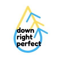 Down Right Perfect Programs logo - Similar company to Mvp Plastics, An Mvp Group Company