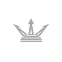 Dominator Yachts logo - Similar company to Modus Infinitum