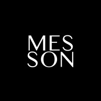 Messon Invest logo - Similar company to Messon Group