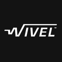 Wisevelocity LTD logo - Similar company to Techvitas Oü