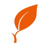 ADEAS Orange logo - Similar company to Aasgo_Orange